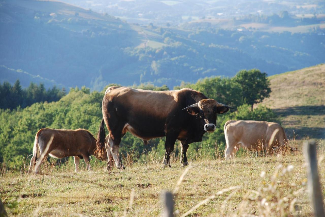 Gite De Sejour Haut 2 Gammes Saint-Hippolyte (Aveyron) Exterior foto